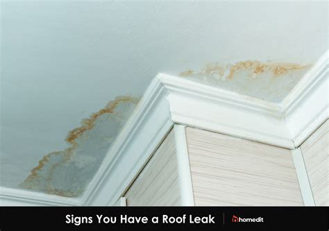 Why Is Water Leaking Through The Ceiling After A。